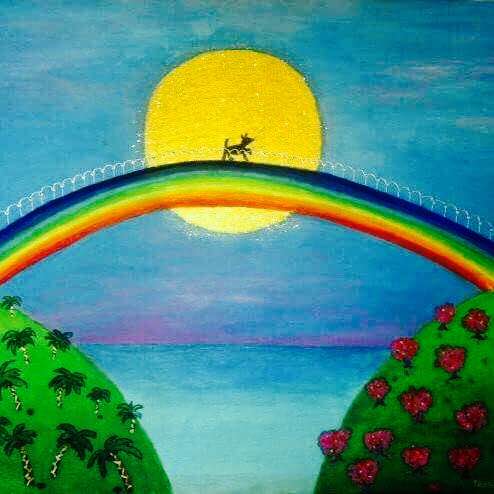 My-Island-Dog-Rainbow